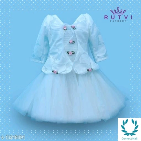 Little Princess Girl's  Net Frock - 2-3 Years